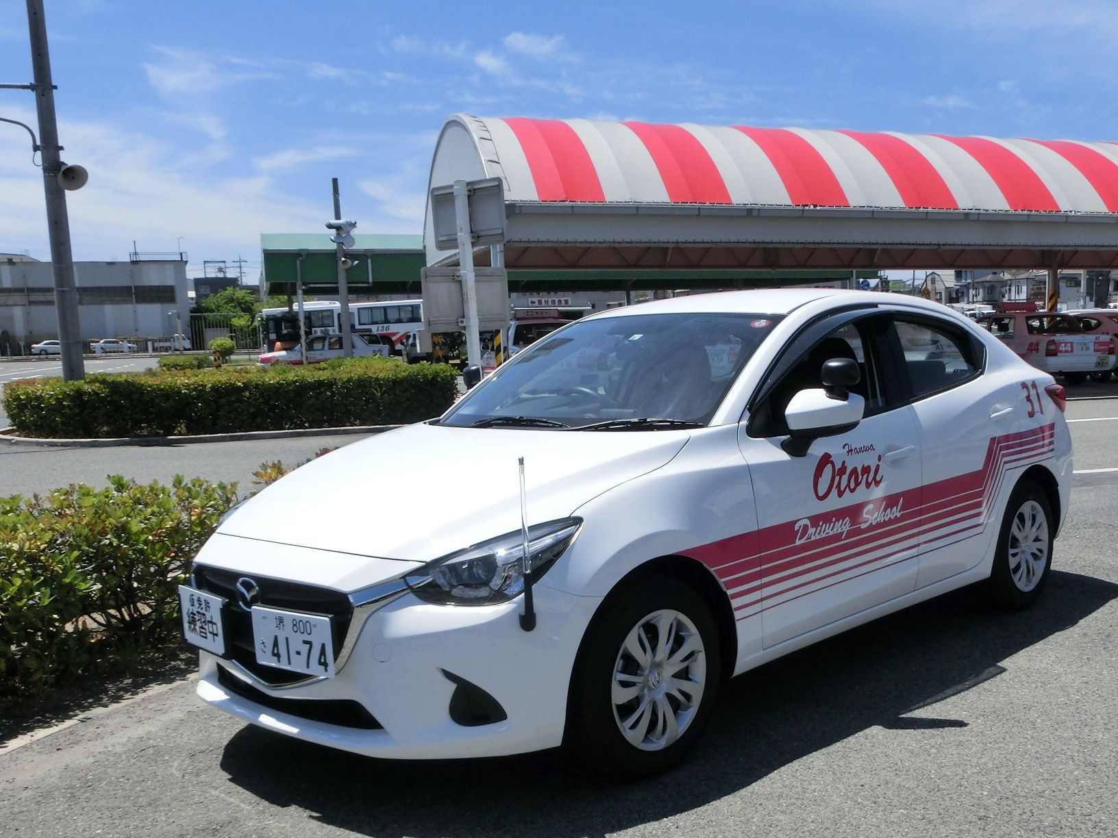 阪和鳳自動車学校 普通教習車入れ替えのお知らせ